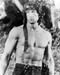 This is an image of Photograph & Poster of Sylvester Stallone 195021