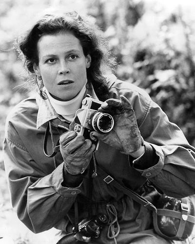 This is an image of Photograph & Poster of Sigourney Weaver 195059