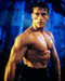 This is an image of Photograph & Poster of Jean-Claude Van Damme 284474
