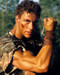 This is an image of Photograph & Poster of Jean-Claude Van Damme 284486