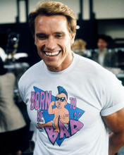 This is an image of Photograph & Poster of Arnold Schwarzenegger 284498