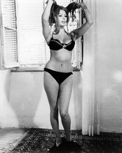 This is an image of Photograph & Poster of Sophia Loren 195110