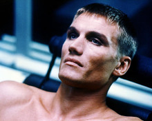 This is an image of Photograph & Poster of Dolph Lundgren 284612