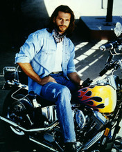 This is an image of Photograph & Poster of Lorenzo Lamas 284619