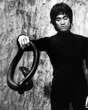 This is an image of Photograph & Poster of Bruce Lee 195134