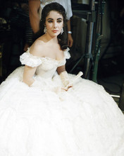This is an image of Photograph & Poster of Elizabeth Taylor 284821