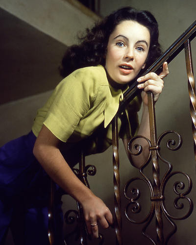 This is an image of Photograph & Poster of Elizabeth Taylor 284844