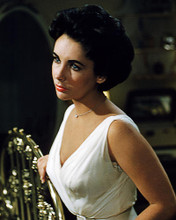 This is an image of Photograph & Poster of Elizabeth Taylor 284865