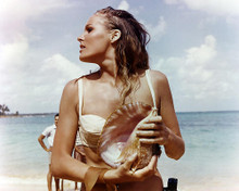 This is an image of Photograph & Poster of Ursula Andress 284931