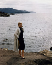 This is an image of Photograph & Poster of Kim Novak 284936