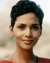This is an image of Photograph & Poster of Halle Berry 285074