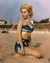This is an image of Photograph & Poster of Tuesday Weld 285081
