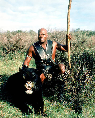 This is an image of Photograph & Poster of The Beastmaster 284948