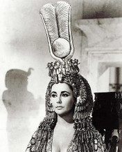 This is an image of Photograph & Poster of Elizabeth Taylor 284963