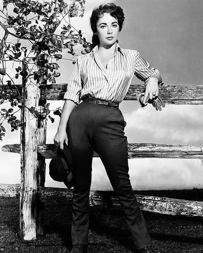 This is an image of Photograph & Poster of Elizabeth Taylor 195431