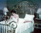 This is an image of Photograph & Poster of Elizabeth Taylor 284978