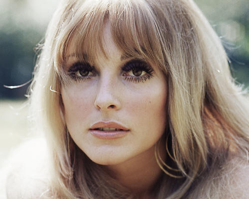 This is an image of Photograph & Poster of Sharon Tate 285122