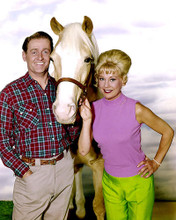 This is an image of Photograph & Poster of Mr.Ed 285174
