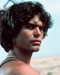 This is an image of Photograph & Poster of Harry Hamlin 285193