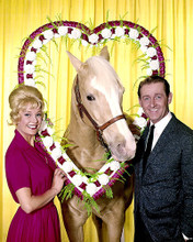 This is an image of Photograph & Poster of Mr.Ed 285236