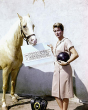 This is an image of Photograph & Poster of Mr.Ed 285283