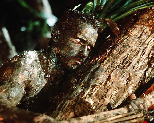 This is an image of Photograph & Poster of Arnold Schwarzenegger 285289