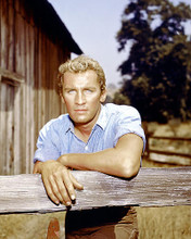This is an image of Photograph & Poster of Roy Thinnes 285187