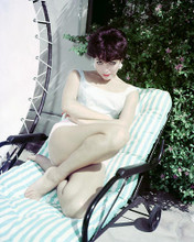 This is an image of Photograph & Poster of Joan Collins 285246