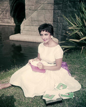 This is an image of Photograph & Poster of Elizabeth Taylor 285321