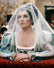 This is an image of Photograph & Poster of Elizabeth Taylor 285325