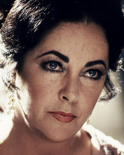This is an image of Photograph & Poster of Elizabeth Taylor 285336