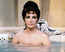 This is an image of Photograph & Poster of Elizabeth Taylor 285351