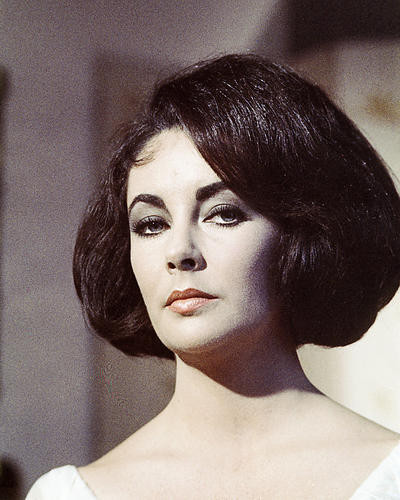 This is an image of Photograph & Poster of Elizabeth Taylor 285360