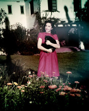 This is an image of Photograph & Poster of Elizabeth Taylor 285365
