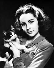 This is an image of Photograph & Poster of Elizabeth Taylor 195569