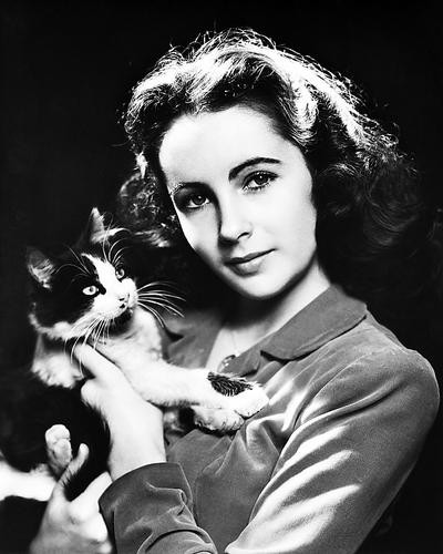 This is an image of Photograph & Poster of Elizabeth Taylor 195569