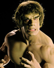 This is an image of Photograph & Poster of The Incredible Hulk 285384