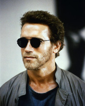 This is an image of Photograph & Poster of Arnold Schwarzenegger 285623