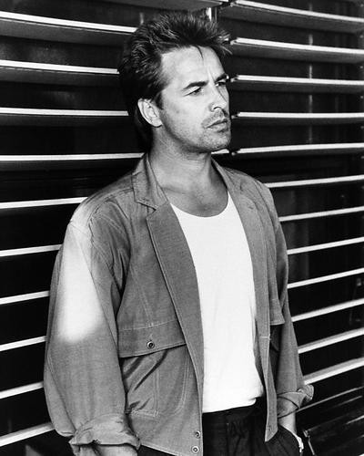 This is an image of Photograph & Poster of Don Johnson 195740