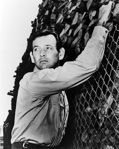 This is an image of Photograph & Poster of David Janssen 195753