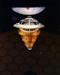 This is an image of Photograph & Poster of Fantastic Voyage 290535