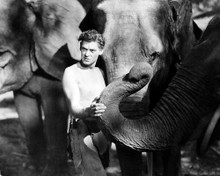 This is an image of Photograph & Poster of Johnny Weissmuller 199388
