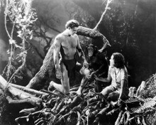 This is an image of Photograph & Poster of Tarzan the Apeman 199435