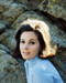 This is an image of Photograph & Poster of Barbara Parkins 290586