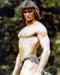 This is an image of Photograph & Poster of Tarzan the Apeman 1981 292671