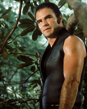 This is an image of Photograph & Poster of Burt Reynolds 290620