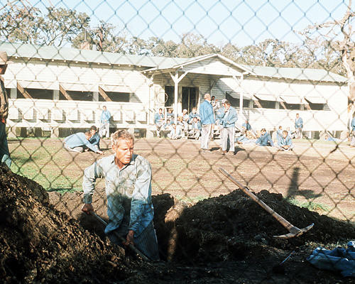 This is an image of Photograph & Poster of Cool Hand Luke 290661