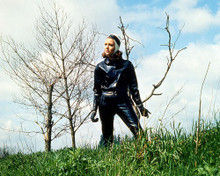 This is an image of Photograph & Poster of Diana Rigg 290775