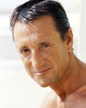 This is an image of Photograph & Poster of Roy Scheider 290780