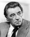 This is an image of Photograph & Poster of Robert Mitchum 199675